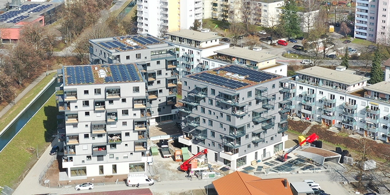 NewCo_Referenzen_Wangen